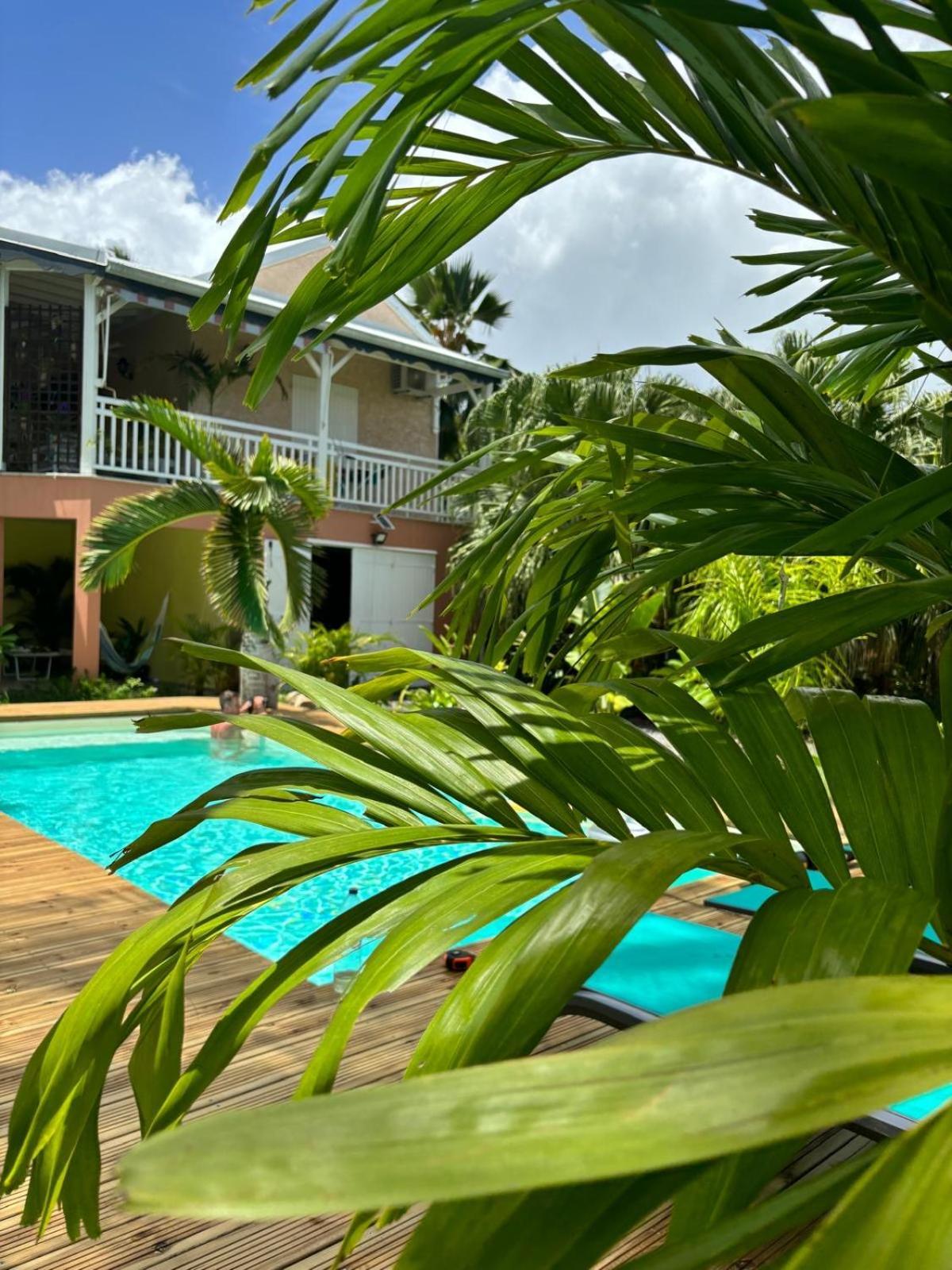 Le Petit Havre Tropical Guadeloupe, Gite, Massages & Spa Сен-Франсуа Екстер'єр фото