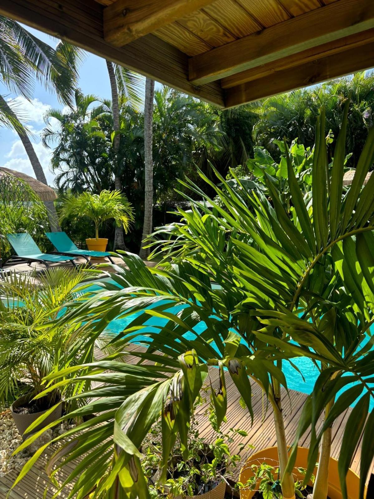 Le Petit Havre Tropical Guadeloupe, Gite, Massages & Spa Сен-Франсуа Екстер'єр фото