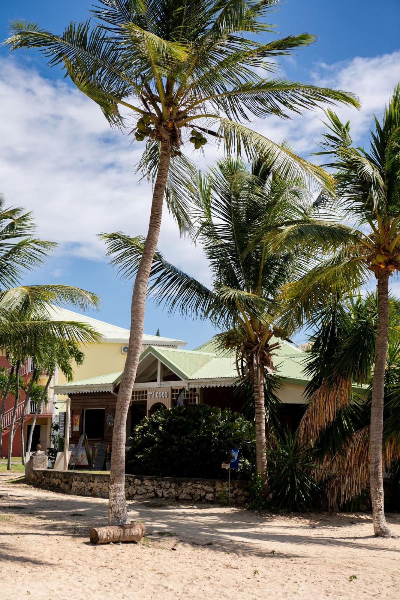 Le Petit Havre Tropical Guadeloupe, Gite, Massages & Spa Сен-Франсуа Екстер'єр фото